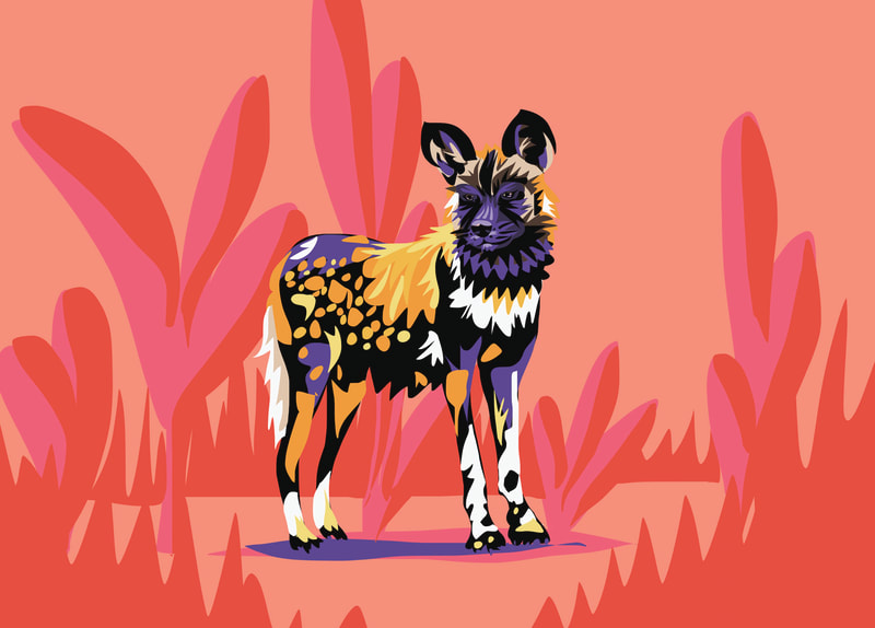 Drawing of an African Wild Dog