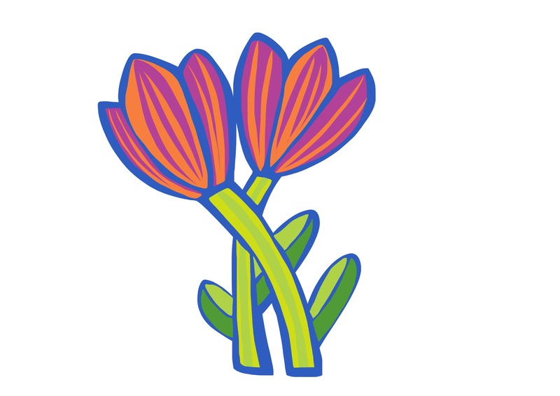 Drawing of two tulips