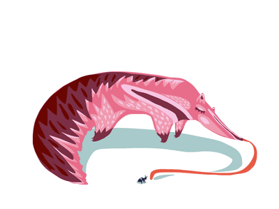drawing of anteater